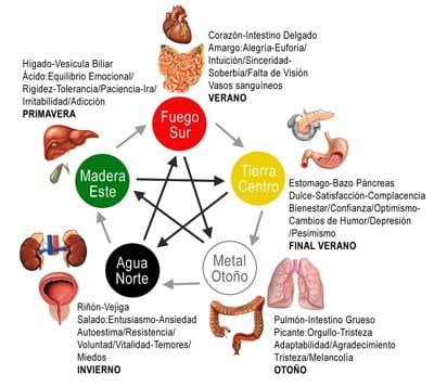 Medicina China Ciclo Espacio Humano