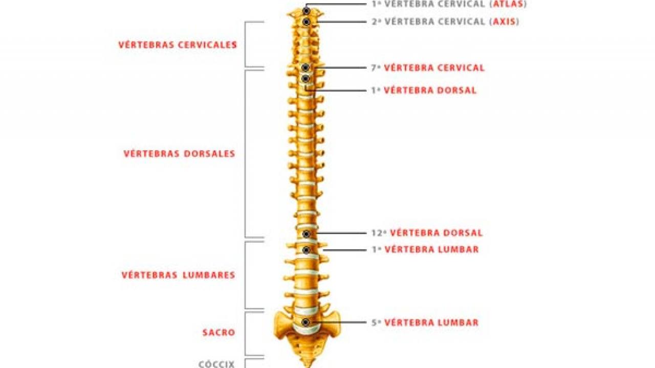 hernia discal y heartache de estomago
