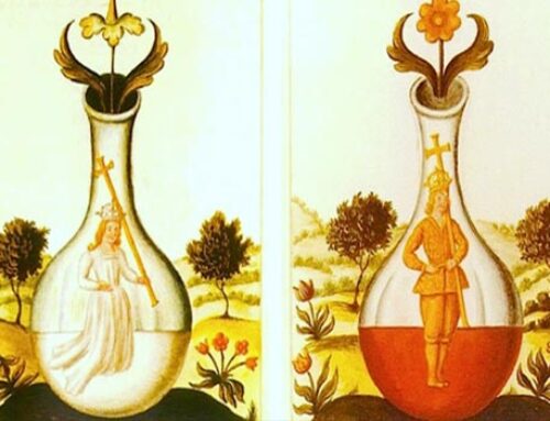 La Alquimia de la Salud: Un Viaje a Través de la Espagiria y el Saber Ancestral