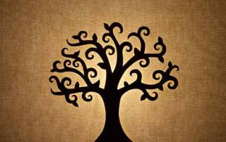 Siente-y-descubre-tu-árbol genealógico