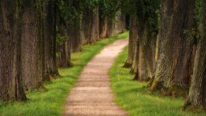 Ruta en la naturaleza