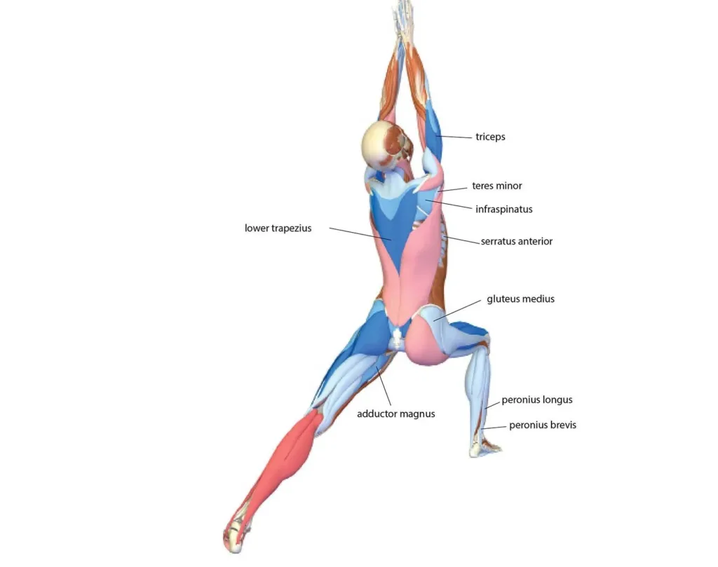 Virabhadrasana_I-e1632863678710