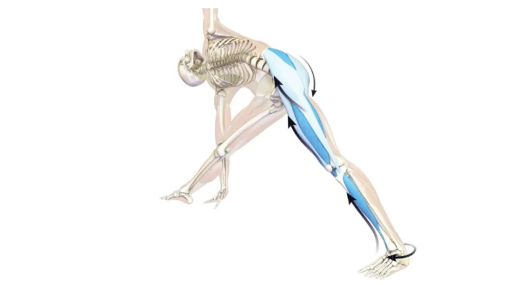 Trikonasana: Postura del Triángulo Trikonasana: Postura del Triángulo
